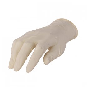Latex Gloves Powder-Free